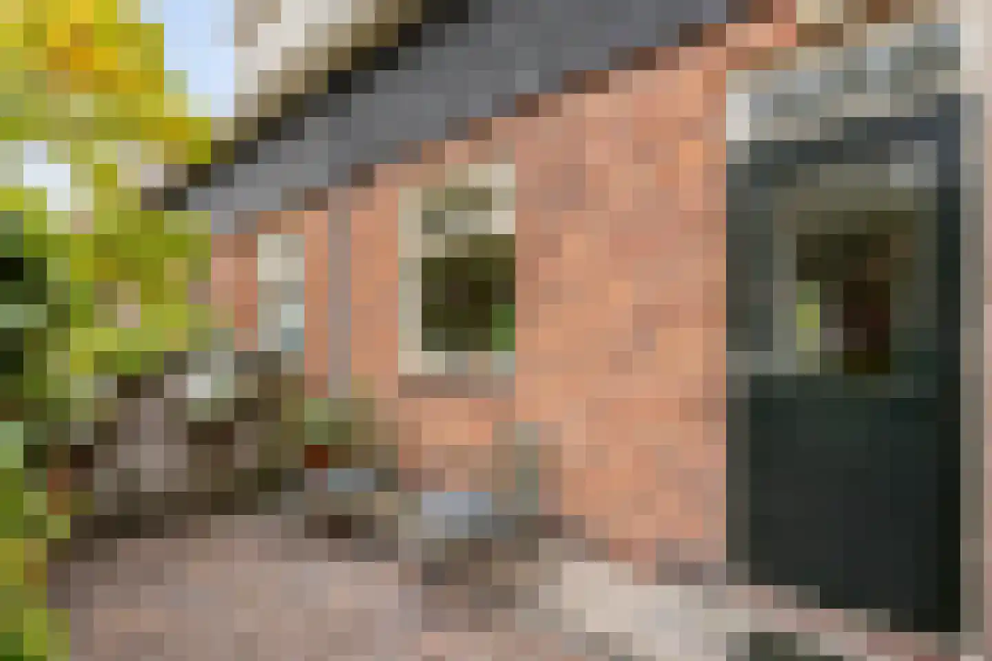 Lange Vogelstraat 3 Amsterdam thumbnail 8