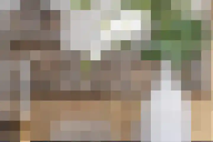 Lange Vonder 104 Amsterdam thumbnail 11