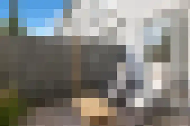 Lange Vonder 104 Amsterdam thumbnail 17
