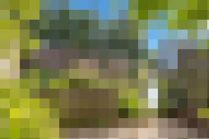 Lange Vonder 104 Amsterdam thumbnail 18