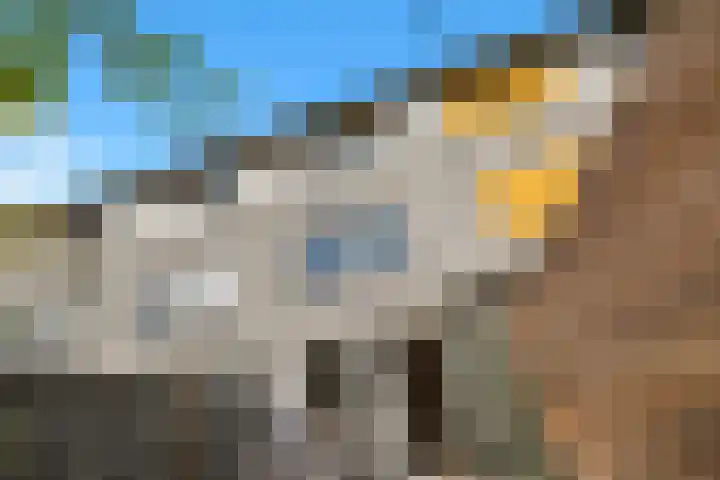 Lange Vonder 104 Amsterdam thumbnail 21