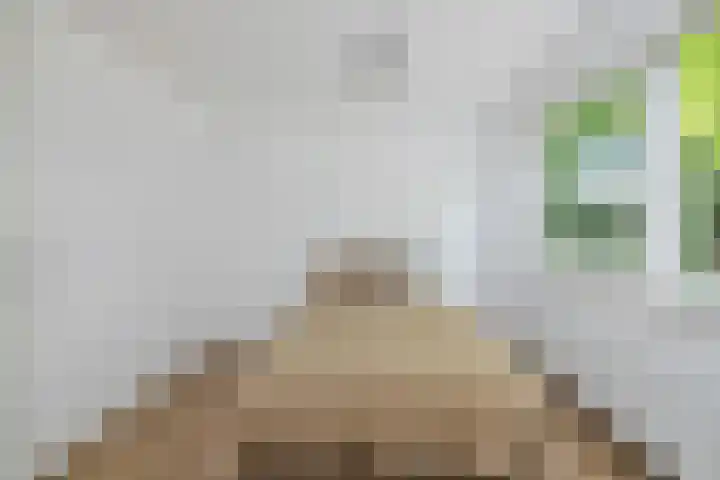 Lange Vonder 104 Amsterdam thumbnail 36