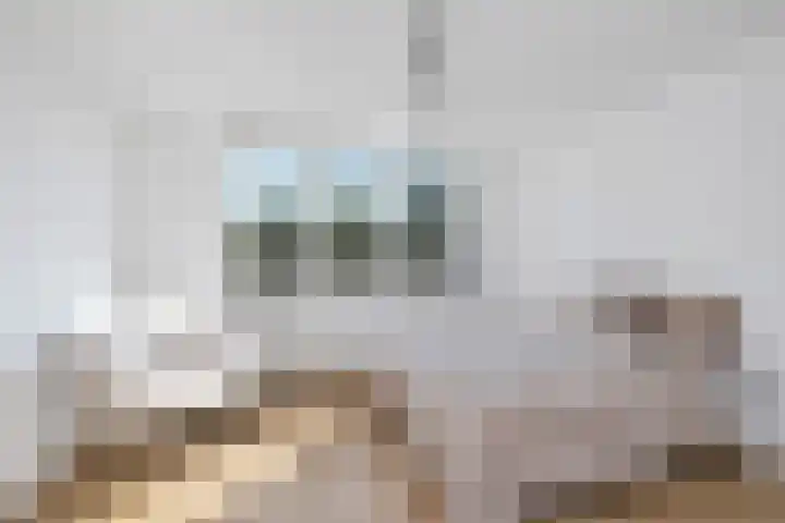 Lange Vonder 104 Amsterdam thumbnail 40