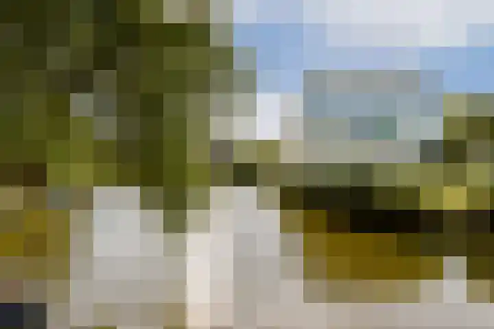 Lange Vonder 26 Amsterdam thumbnail 10