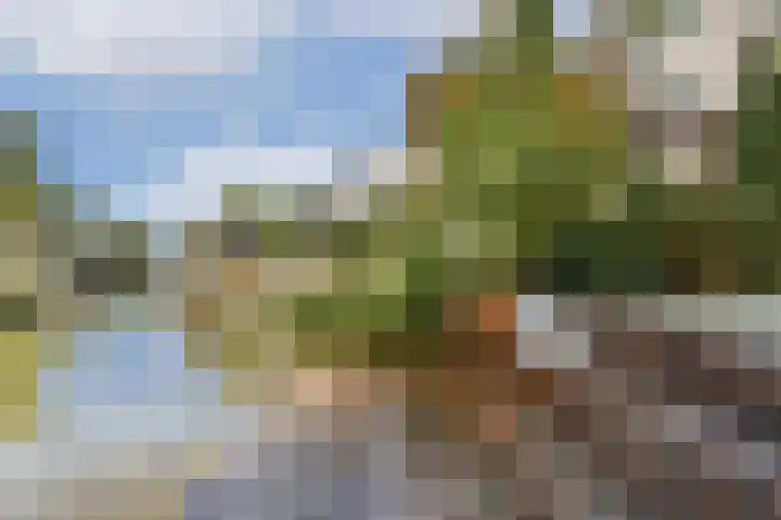 Lange Vonder 26 Amsterdam thumbnail 11