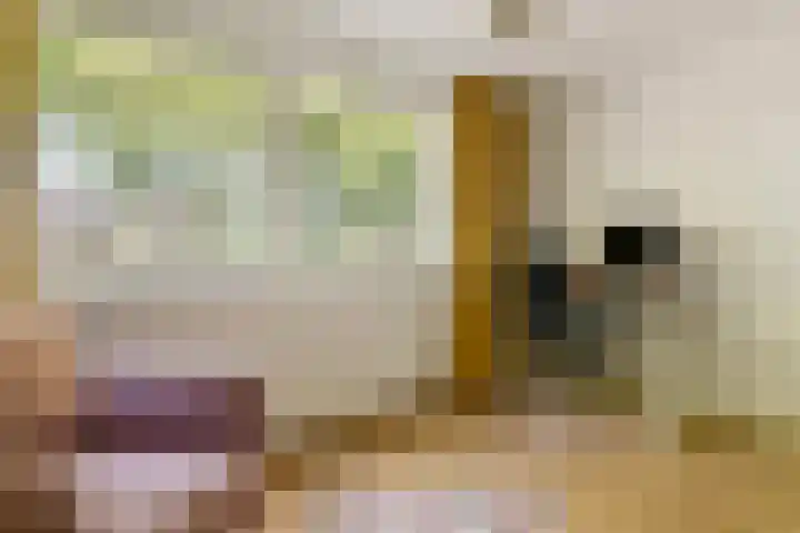 Lange Vonder 26 Amsterdam thumbnail 16