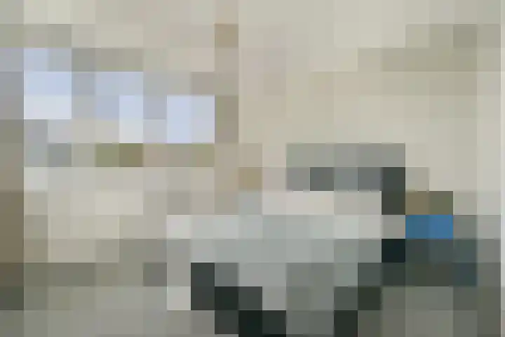 Lange Vonder 26 Amsterdam thumbnail 22