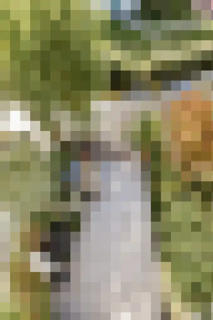 Lange Vonder 26 Amsterdam thumbnail 23