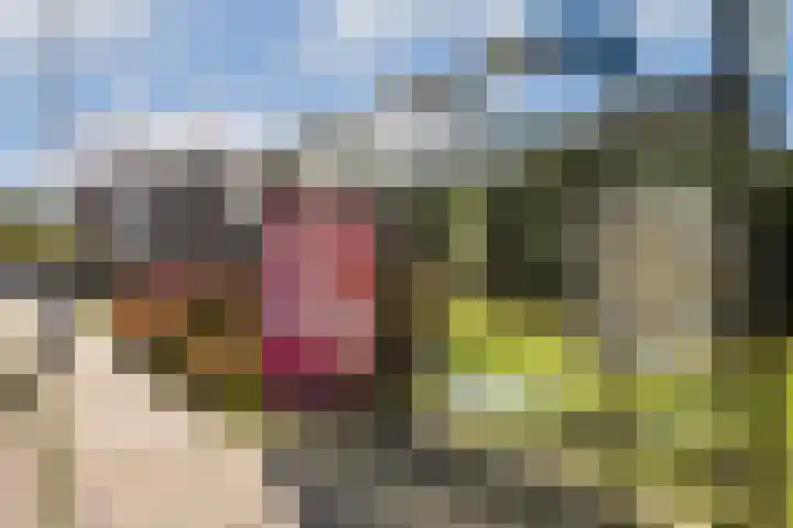Lange Vonder 26 Amsterdam thumbnail 30