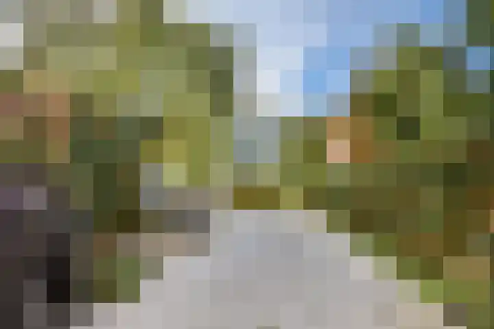 Lange Vonder 26 Amsterdam thumbnail 8