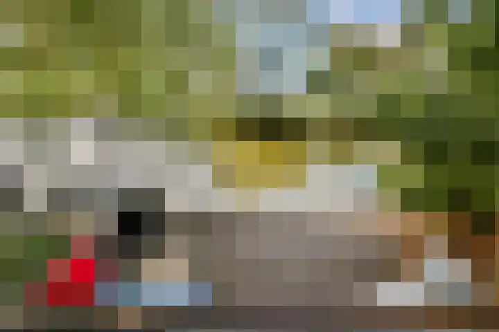 Lange Vonder 26 Amsterdam thumbnail 9