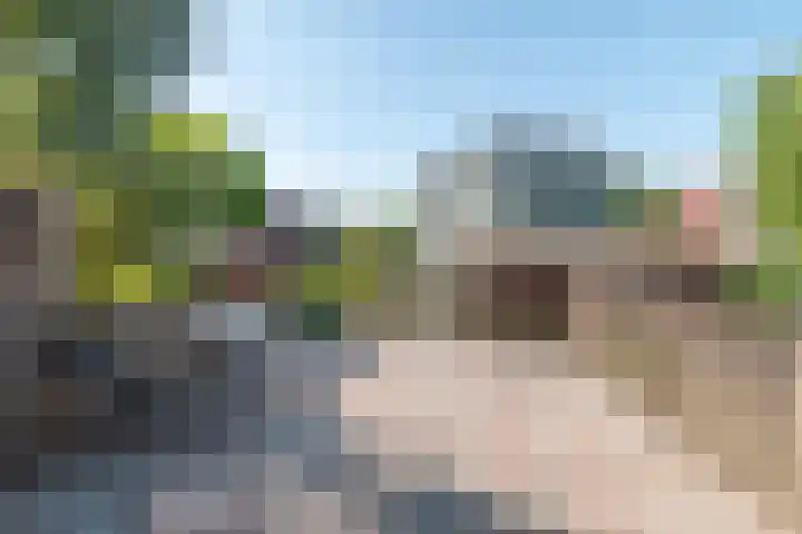Lange Vonder 32 Amsterdam thumbnail 10
