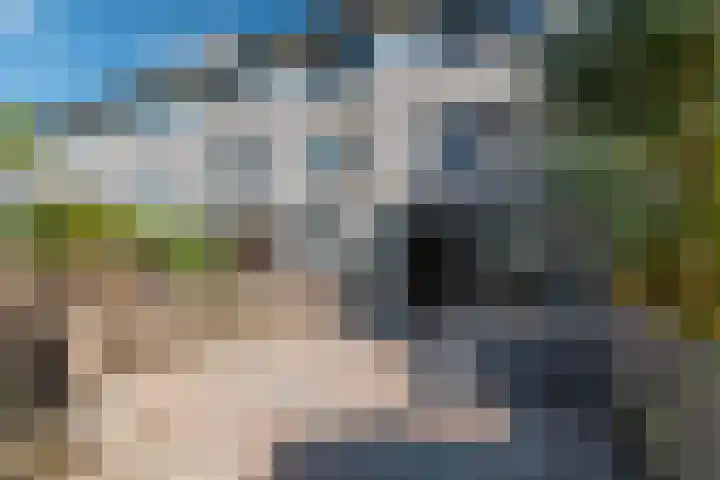 Lange Vonder 32 Amsterdam thumbnail 12