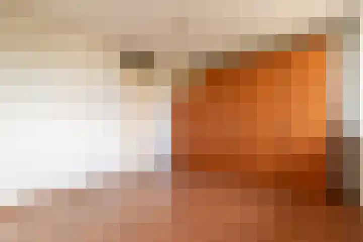 Lange Vonder 32 Amsterdam thumbnail 19