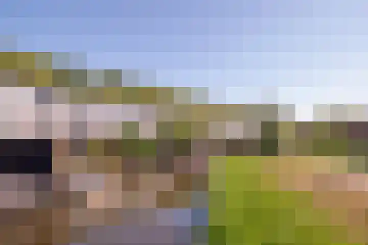 Lange Vonder 32 Amsterdam thumbnail 21