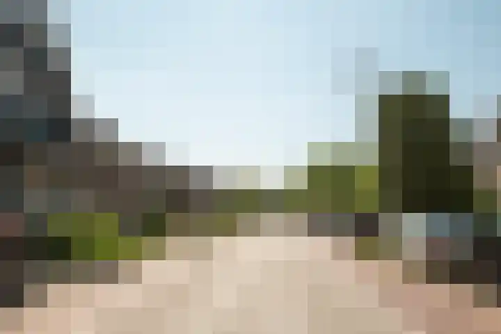 Lange Vonder 32 Amsterdam thumbnail 22