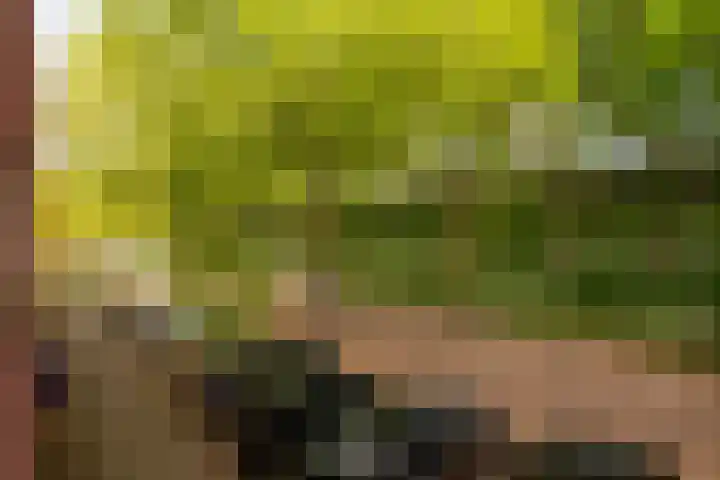 Lange Vonder 32 Amsterdam thumbnail 32