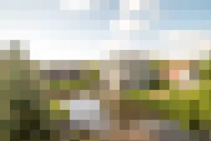 Lange Vonder 32 Amsterdam thumbnail 33