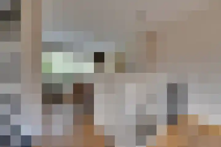 Lange Vonder 68 Amsterdam thumbnail 16