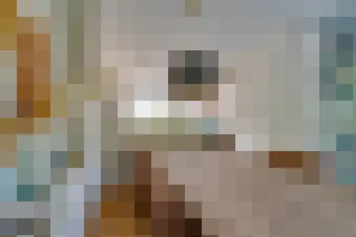 Lange Vonder 68 Amsterdam thumbnail 18