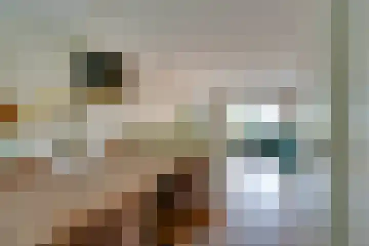 Lange Vonder 68 Amsterdam thumbnail 20
