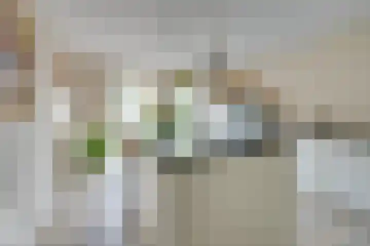 Lange Vonder 68 Amsterdam thumbnail 22