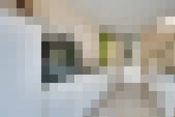 Lange Vonder 68 Amsterdam thumbnail 24