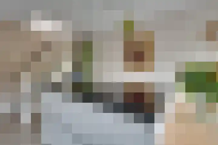 Lange Vonder 68 Amsterdam thumbnail 25