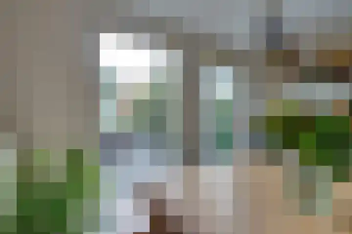 Lange Vonder 68 Amsterdam thumbnail 27