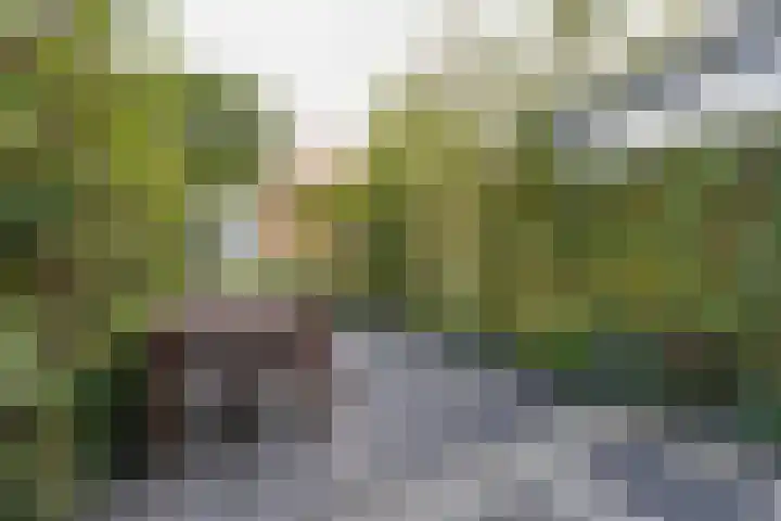 Lange Vonder 68 Amsterdam thumbnail 28