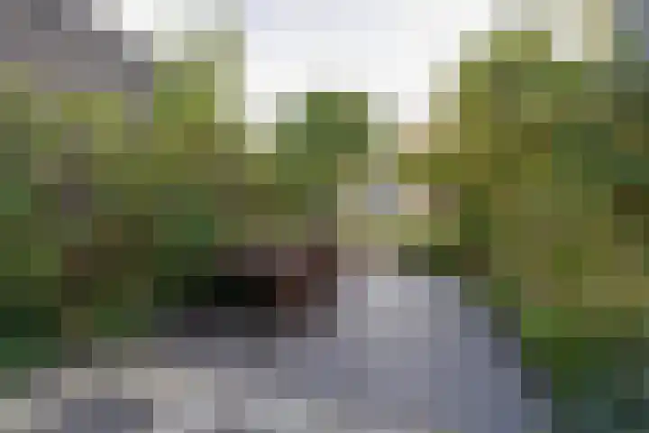 Lange Vonder 68 Amsterdam thumbnail 29