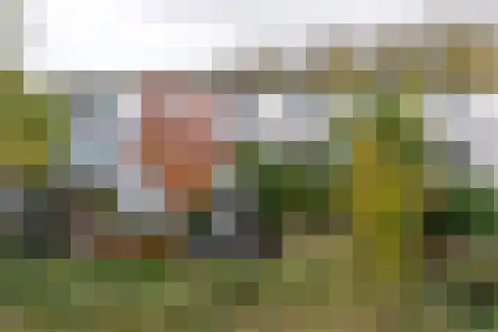 Lange Vonder 68 Amsterdam thumbnail 30