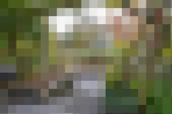Lange Vonder 68 Amsterdam thumbnail 32