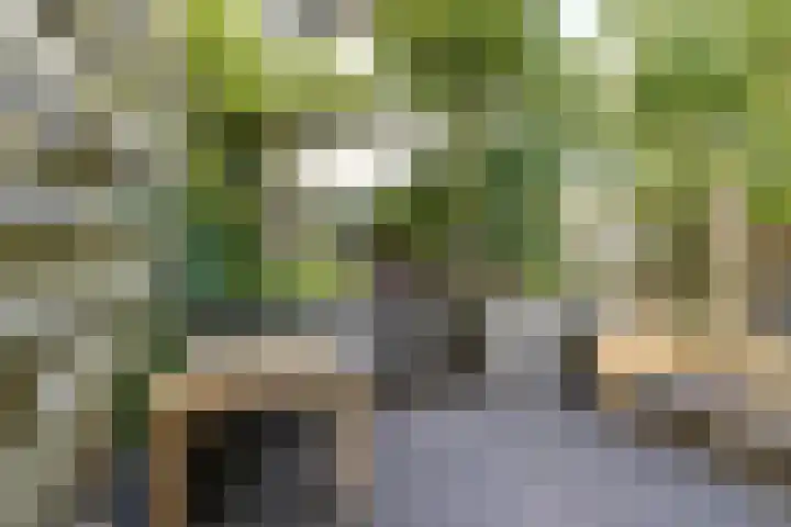 Lange Vonder 68 Amsterdam thumbnail 33