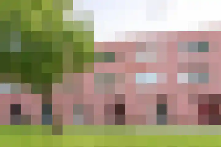 Lange Vonder 68 Amsterdam thumbnail 4