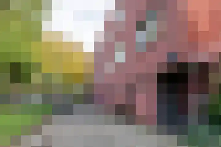 Lange Vonder 68 Amsterdam thumbnail 49