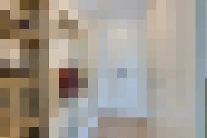 Lange Vonder 68 Amsterdam thumbnail 7