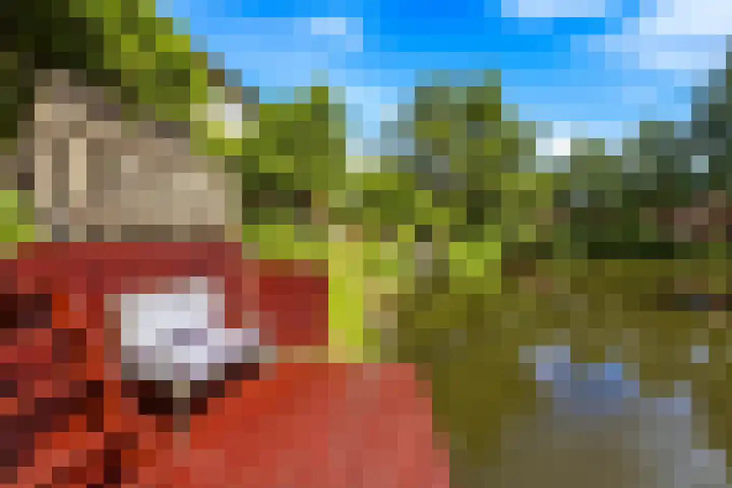 Lange Vonder 78 Amsterdam thumbnail 14