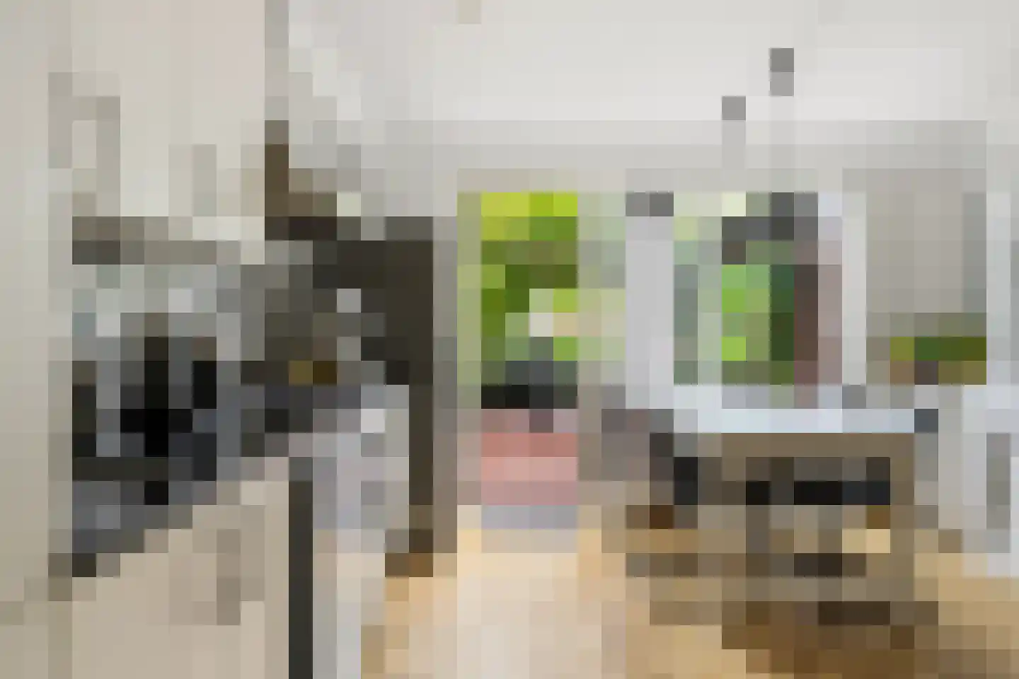 Lange Vonder 78 Amsterdam thumbnail 7