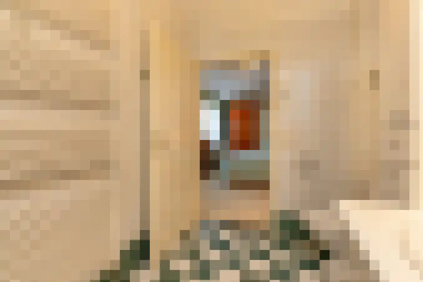 Lange Voorhout 5 Koudekerke thumbnail 18