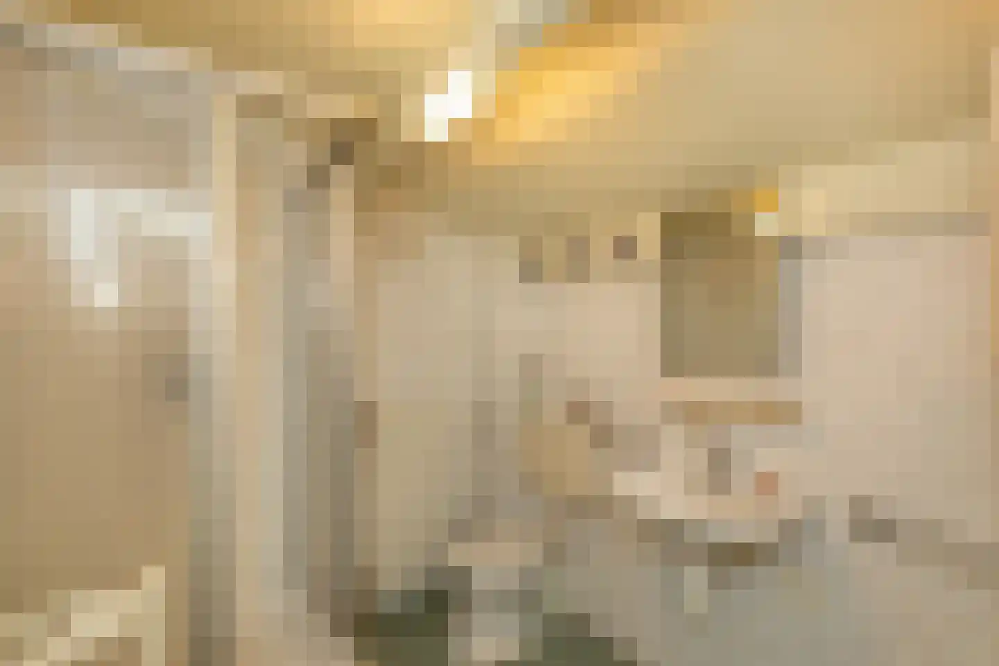 Lange Voorhout 5 Koudekerke thumbnail 25