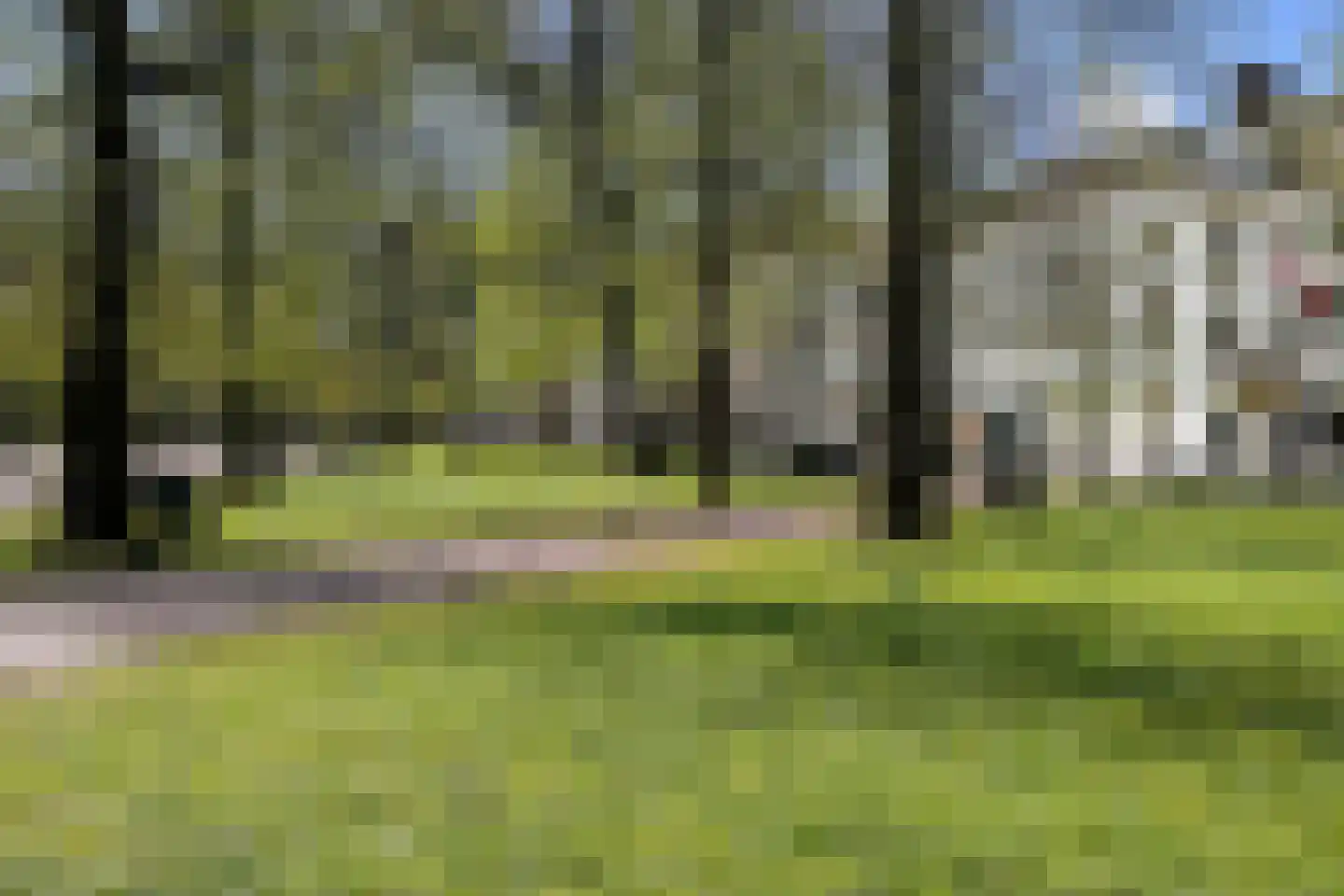 Lange Voorhout 70 Den Haag thumbnail 17