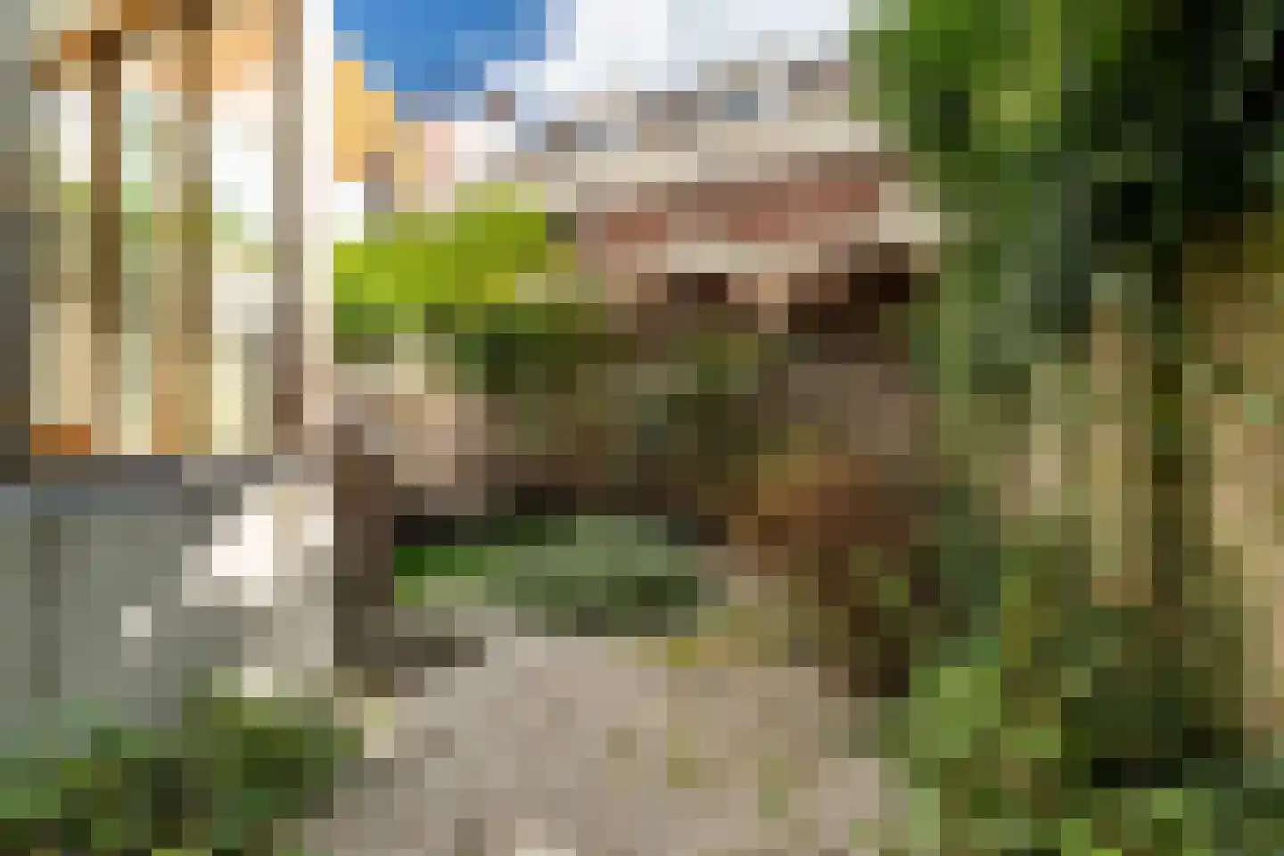 Lange Voorhout 70 Den Haag thumbnail 23