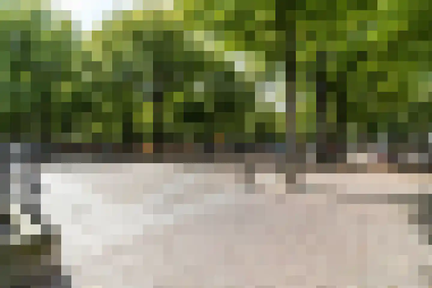 Lange Voorhout 70 Den Haag thumbnail 28