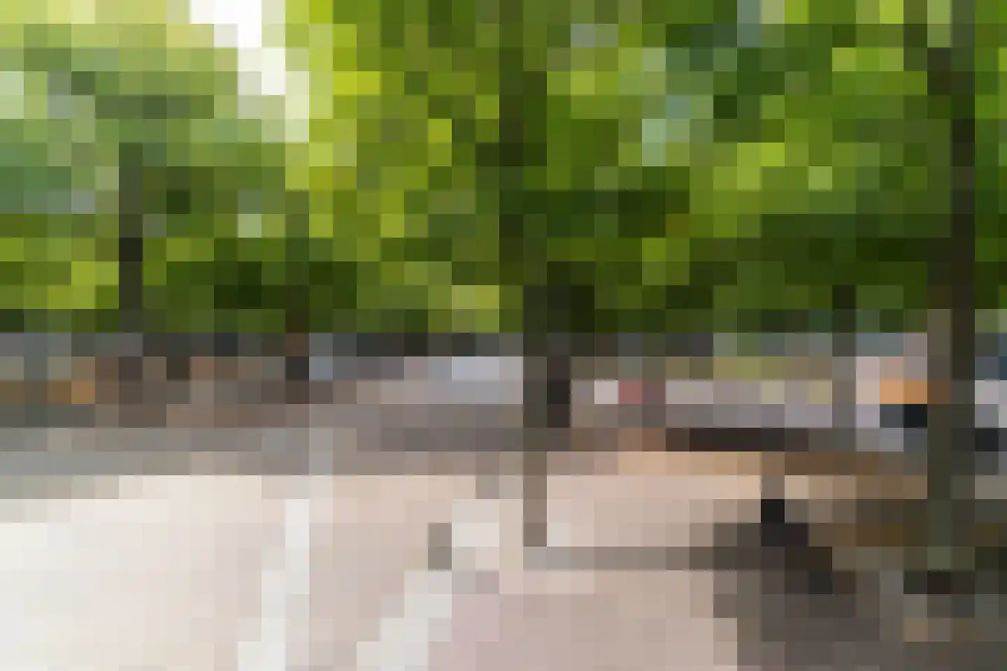 Lange Voorhout 70 Den Haag thumbnail 30