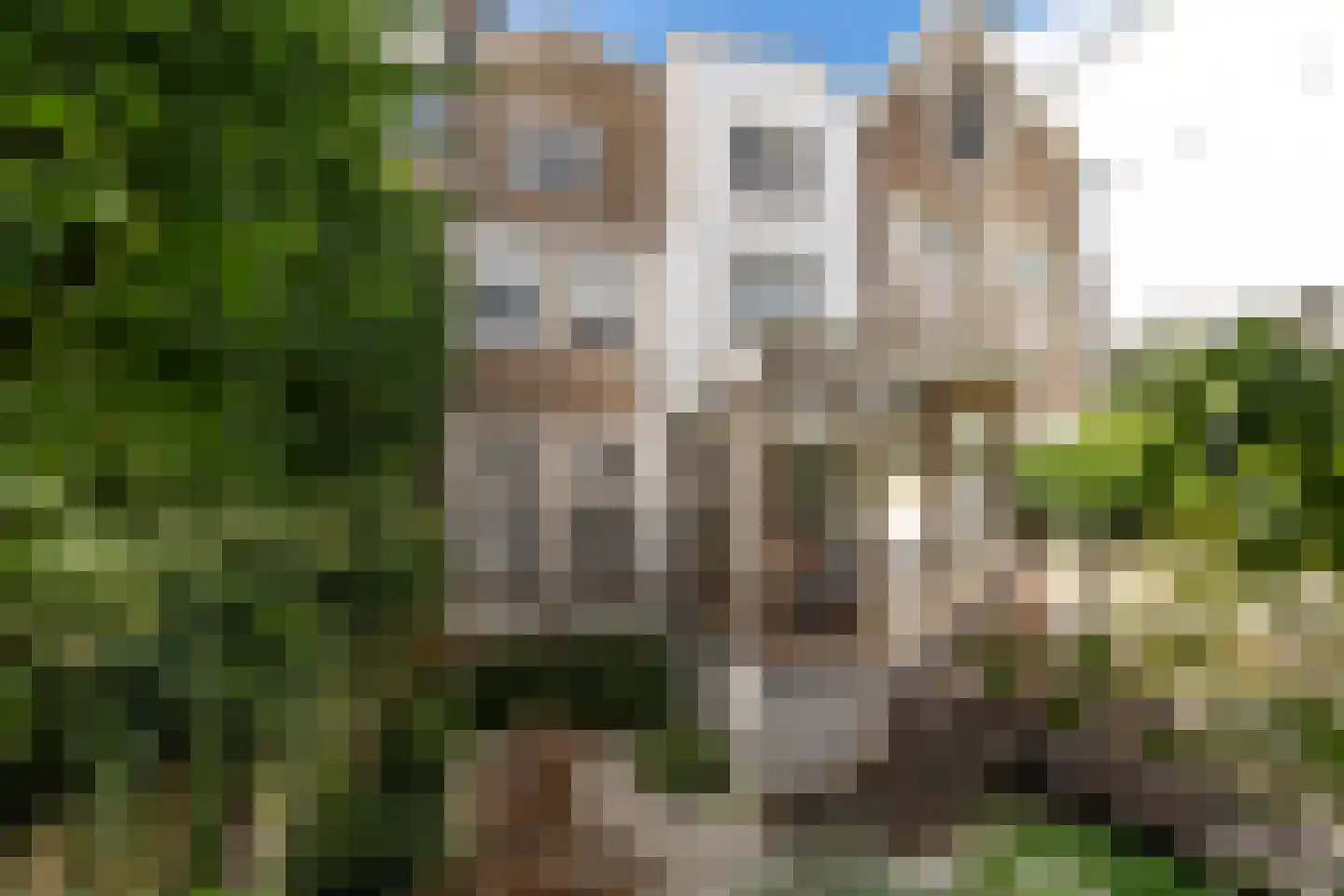 Lange Voorhout 70 Den Haag thumbnail 4