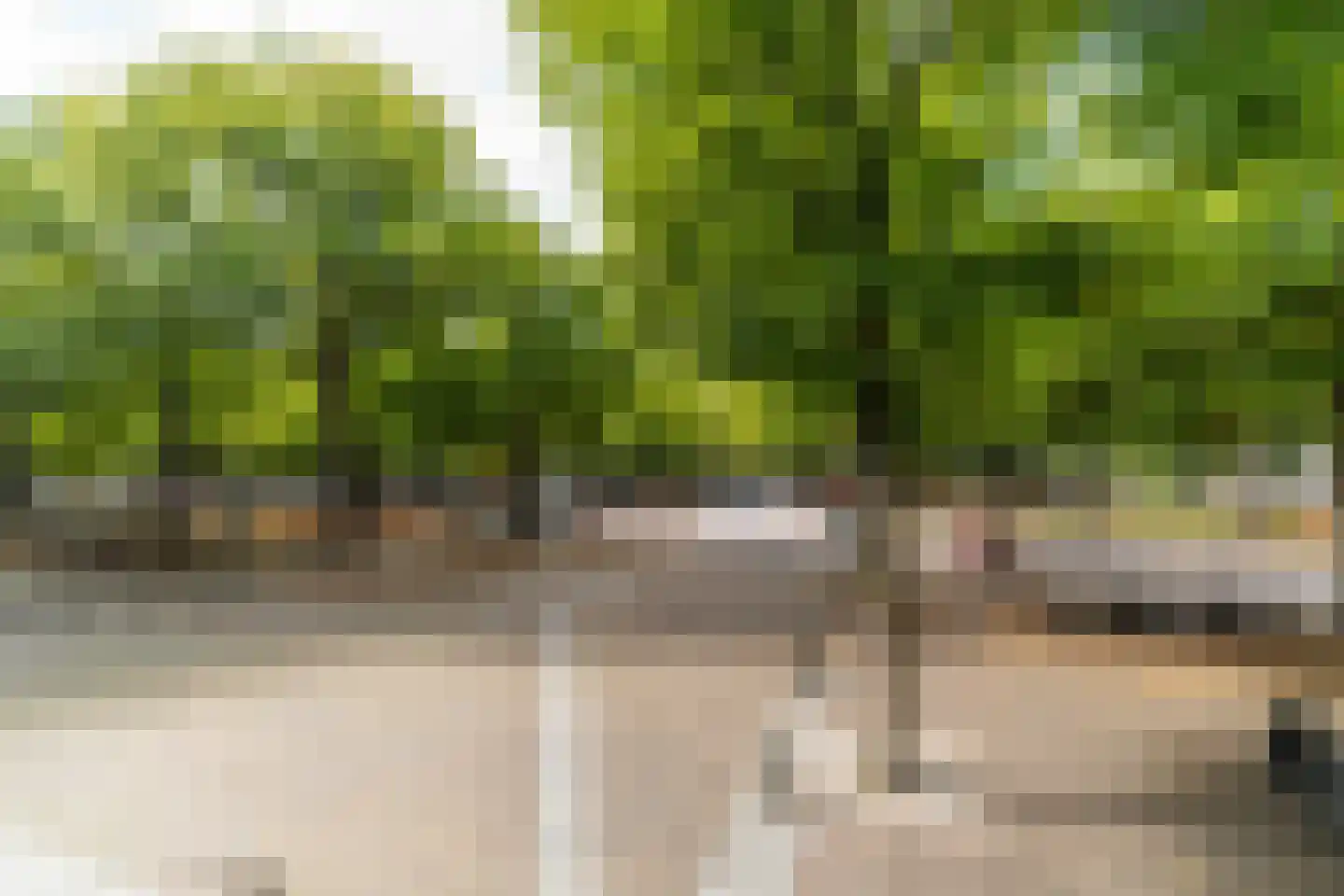 Lange Voorhout 72 Den Haag thumbnail 20