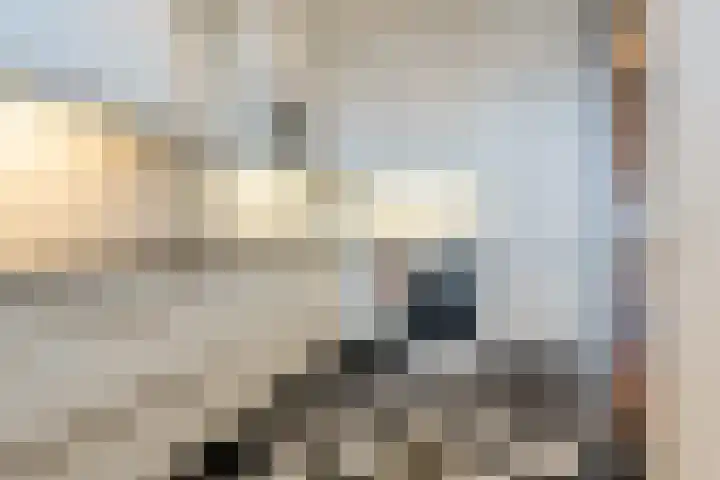 Lange Voort 107 Oegstgeest thumbnail 16