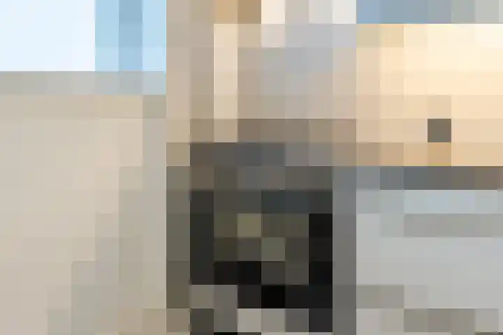 Lange Voort 107 Oegstgeest thumbnail 17