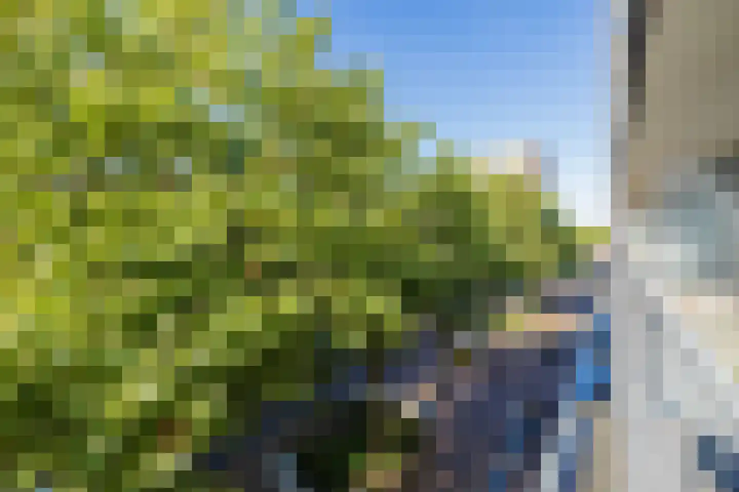 Lange Voort 121 Oegstgeest thumbnail 21